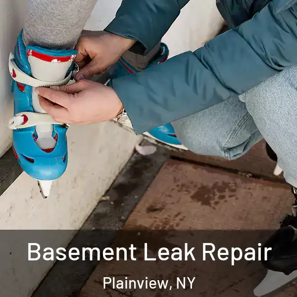  Basement Leak Repair Plainview, NY