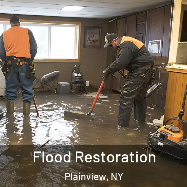  Flood Restoration Plainview, NY