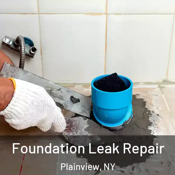  Foundation Leak Repair Plainview, NY