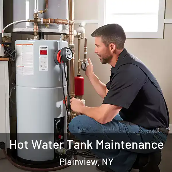  Hot Water Tank Maintenance Plainview, NY