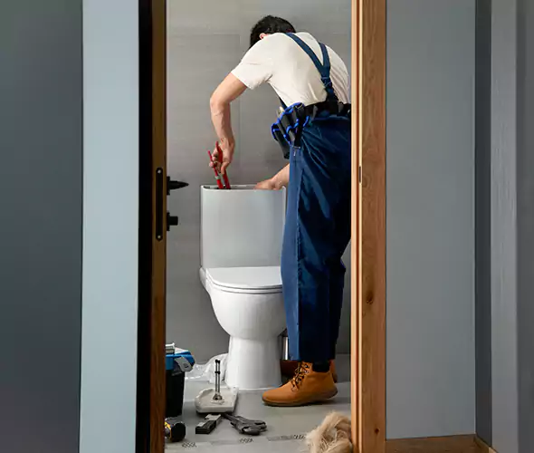 Professional Plumbers for Toilet Bowl Replacement in Plainview, NY: Schedule Affordable Toilet Replacement Services With Us