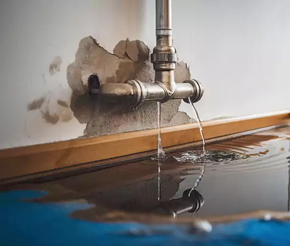 Professional Water Damage Restoration Experts in Plainview, NY — Fast, Reliable & Certified