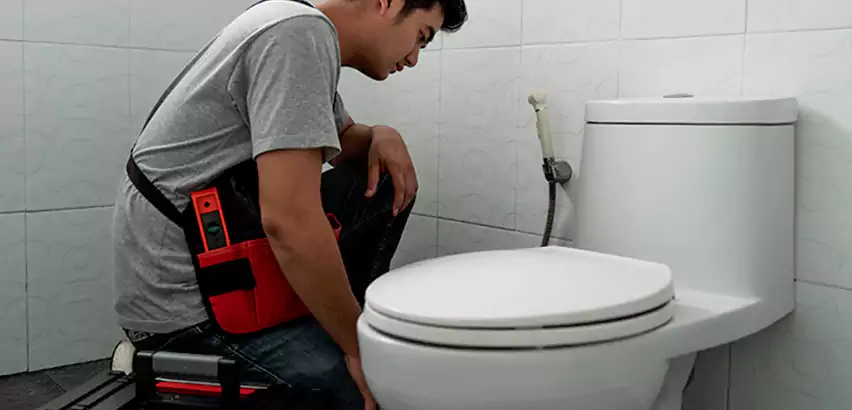 Toilet Repair in Plainview