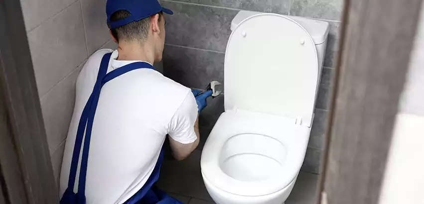 Toilet Lid Replacement in Plainview