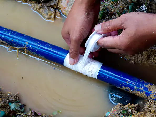  Why Choose Plainview Plumbing Pros for Leak Detection in Plainview, NY?]
