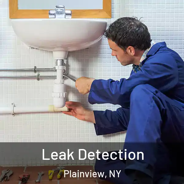  Leak Detection Plainview, NY