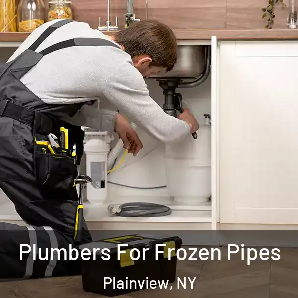  Plumbers For Frozen Pipes Plainview, NY