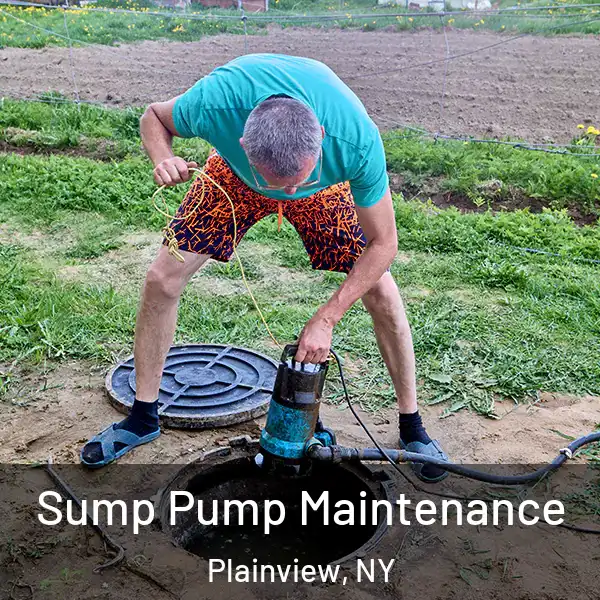  Sump Pump Maintenance Plainview, NY