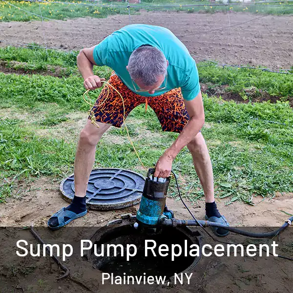  Sump Pump Replacement Plainview, NY