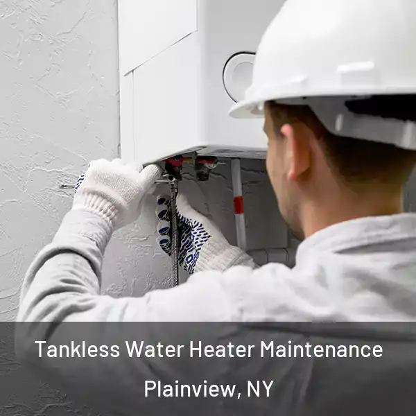  Tankless Water Heater Maintenance Plainview, NY