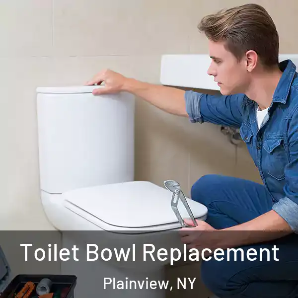  Toilet Bowl Replacement Plainview, NY