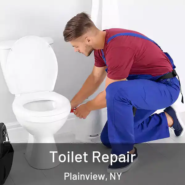  Toilet Repair Plainview, NY