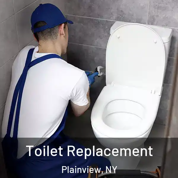  Toilet Replacement Plainview, NY