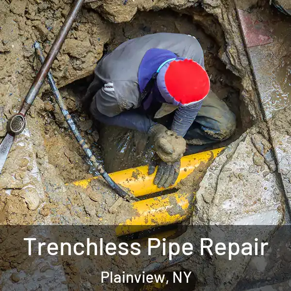  Trenchless Pipe Repair Plainview, NY
