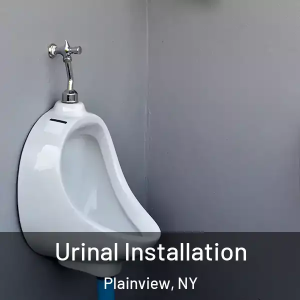  Urinal Installation Plainview, NY