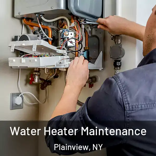  Water Heater Maintenance Plainview, NY