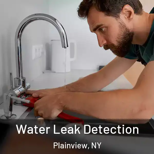  Water Leak Detection Plainview, NY